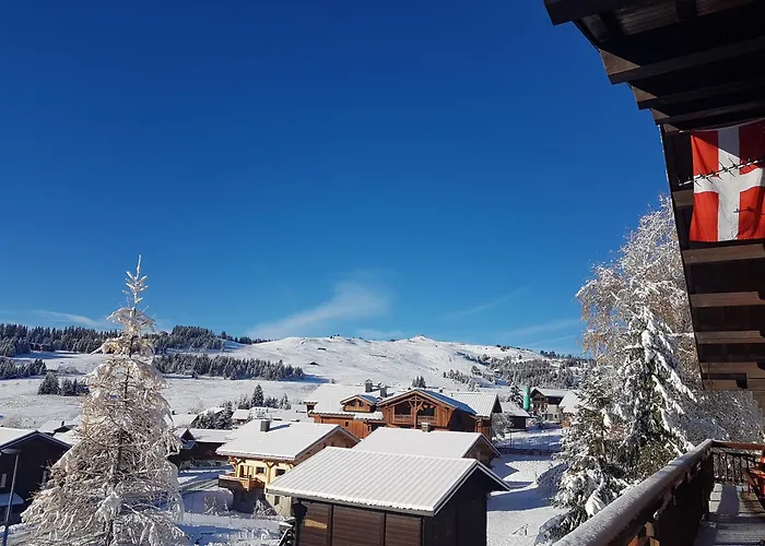 Appartement Plein Sud Aux Saisies N°6